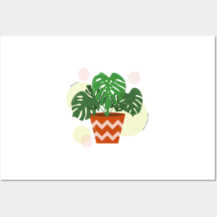 Monstera plant in the ceramic pot Posters and Art